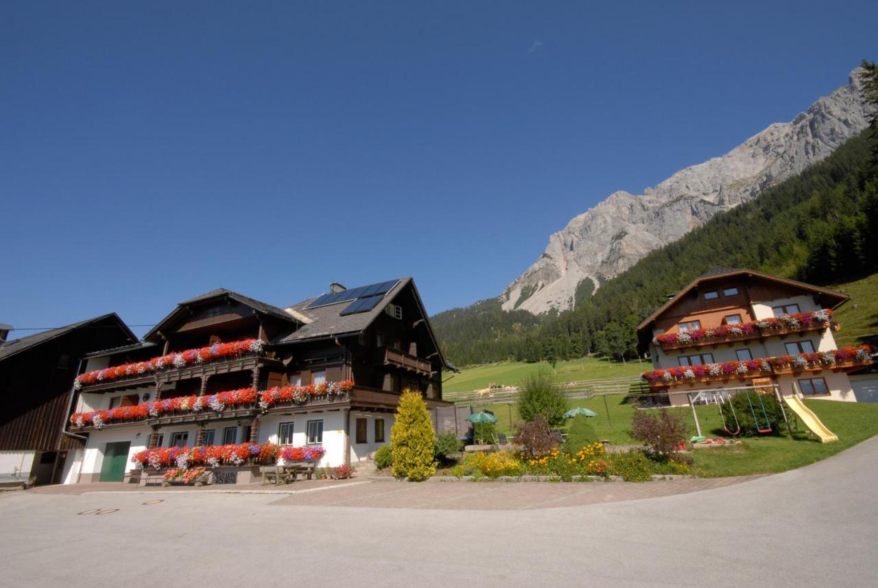 ラムサウ・アム・ダッハシュタイン Feichtlehnerhof Bed & Breakfast エクステリア 写真